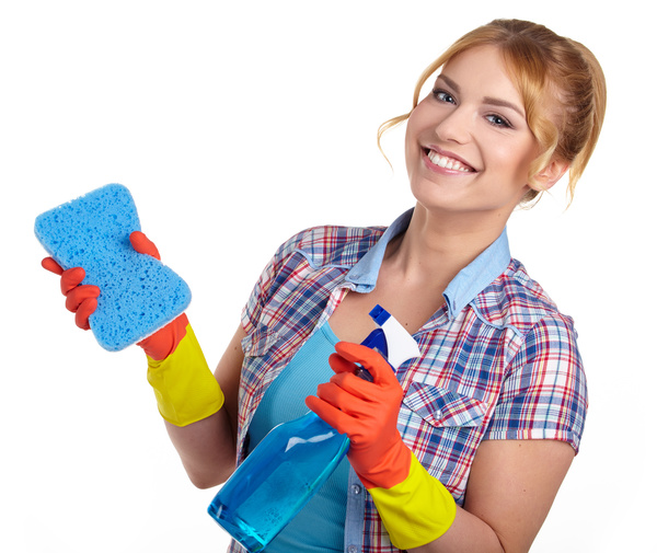 Housewife doing sanitary cleaning Stock Photo 01