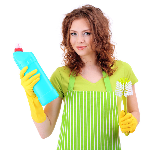 Housewife doing sanitary cleaning Stock Photo 02
