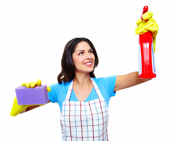 Housewife doing sanitary cleaning Stock Photo 08