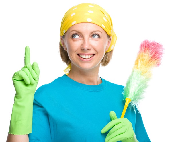 Housewife doing sanitary cleaning Stock Photo 10
