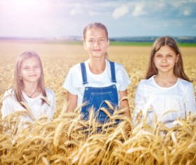 Kids in the wheat field Stock Photo 01