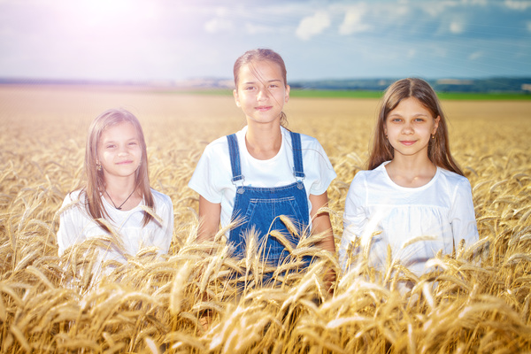 Kids in the wheat field Stock Photo 01