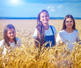 Kids in the wheat field Stock Photo 02