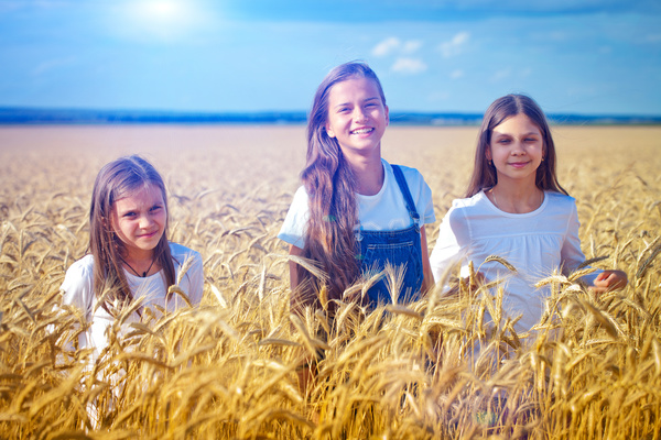 Kids in the wheat field Stock Photo 02