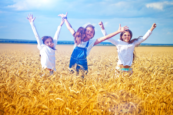 Kids in the wheat field Stock Photo 03