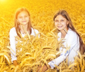Kids in the wheat field Stock Photo 04
