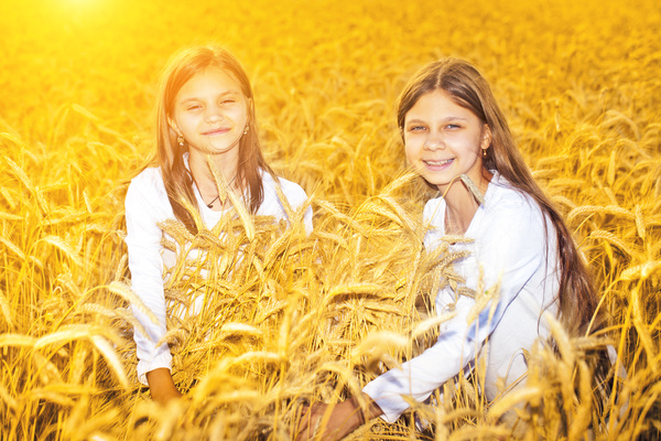 Kids in the wheat field Stock Photo 04