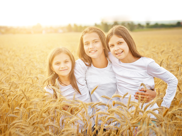 Kids in the wheat field Stock Photo 05