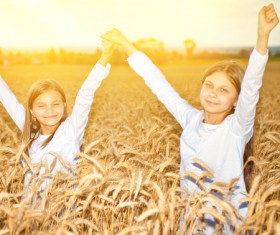 Kids in the wheat field Stock Photo 06