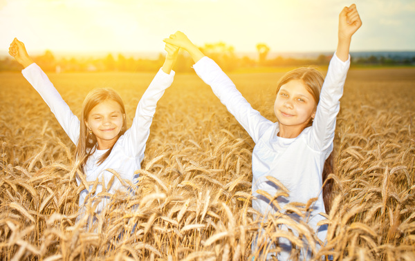 Kids in the wheat field Stock Photo 06