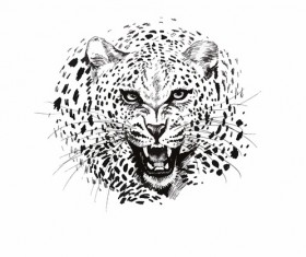 Leopard head vector illustration 01