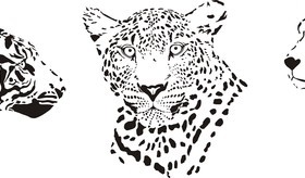 Leopard head vector illustration 02