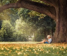 Little boy leaning on a tree reading a book Stock Photo