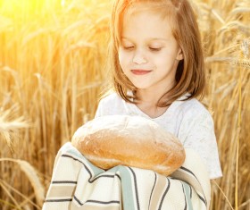 Little girl holding bread in wheat field Stock Photo 01
