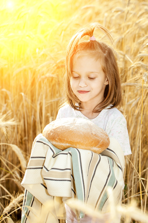 Little girl holding bread in wheat field Stock Photo 01