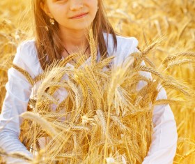 Little girl in wheat field Stock Photo 01