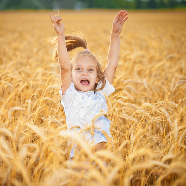 Little girl in wheat field Stock Photo 02