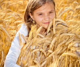 Little girl in wheat field Stock Photo 03