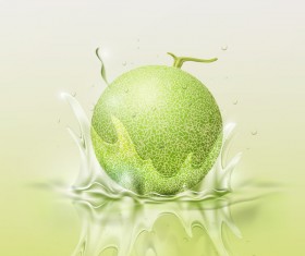Melon splash background vector