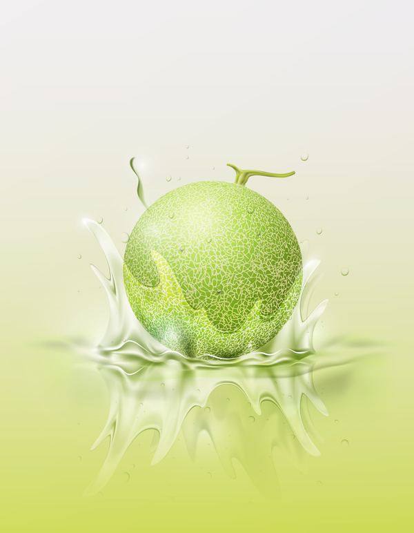 Melon splash background vector