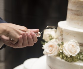 Newly-married couple cutting cake Stock Photo