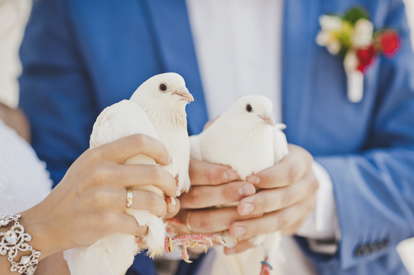 Newly-married couple holding white pigeons Stock Photo