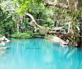 Simple swing on the tree Stock Photo