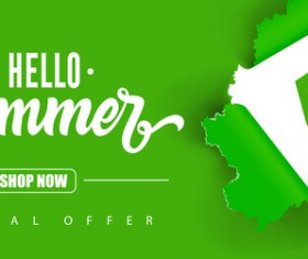 Summer sale green background vector