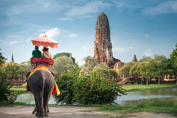 Tourists riding elephants Stock Photo