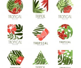 Tropical plant logos vector