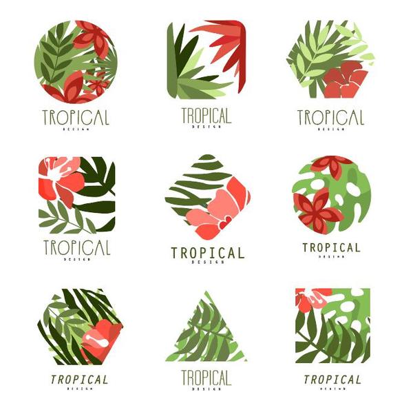 Tropical plant logos vector