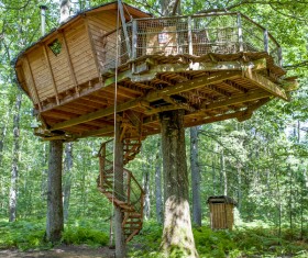 Unique tree house Stock Photo 01