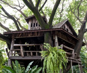 Unique tree house Stock Photo 02