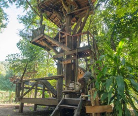 Unique tree house Stock Photo 04