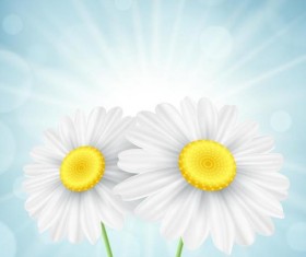 White flower with blurs background vector