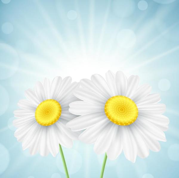 White flower with blurs background vector
