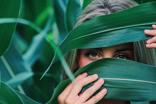 Woman Hide face by corn leaf Stock Photo