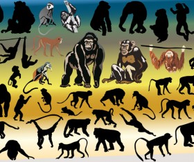 big monkey colored vector