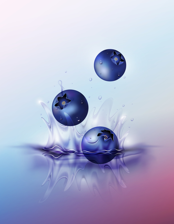 blue berry splash blue background vector