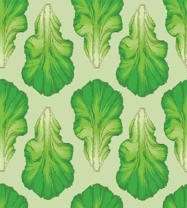lettuce seamless pattern vectors