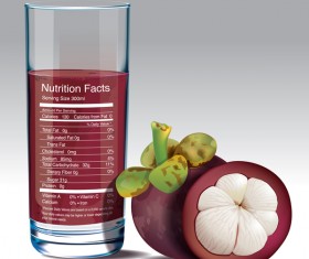 mangosteen juice nutrition vector