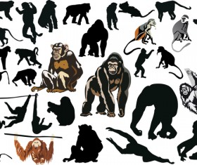 monkey coll big vector