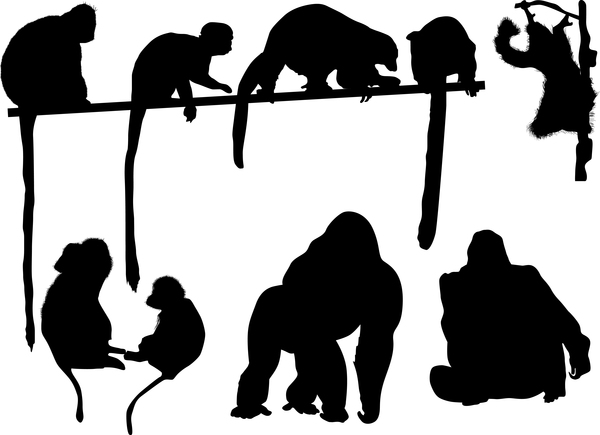 monkey lemur silhouettel vector