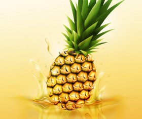 pinapple juice splash vector