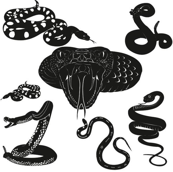 snake vector silhouette