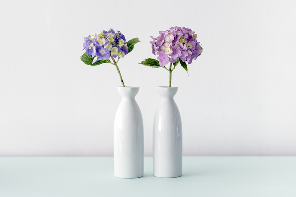 violet flowers in white pots Stock Photo