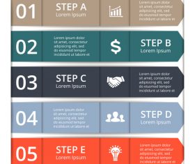 Banner option graphs Infographic template vector 03