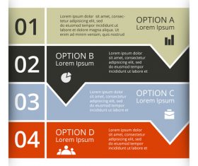 Banner option graphs Infographic template vector 05
