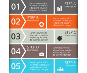 Banner option graphs Infographic template vector 06