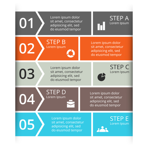 Banner option graphs Infographic template vector 06